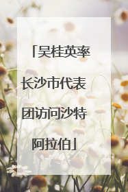 吴桂英率长沙市代表团访问沙特阿拉伯
