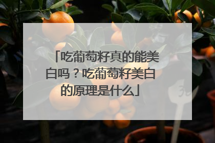 吃葡萄籽真的能美白吗？吃葡萄籽美白的原理是什么