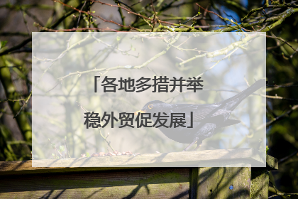 各地多措并举稳外贸促发展