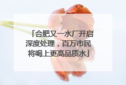 合肥又一水厂开启深度处理，百万市民将喝上更高品质水