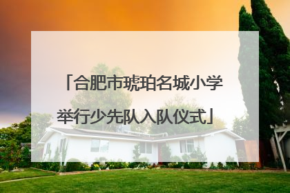 合肥市琥珀名城小学举行少先队入队仪式