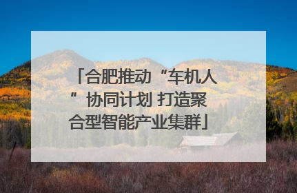 合肥推动“车机人”协同计划 打造聚合型智能产业集群