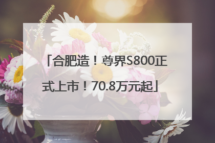 合肥造！尊界S800正式上市！70.8万元起