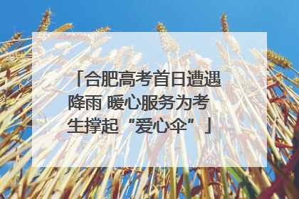 合肥高考首日遭遇降雨 暖心服务为考生撑起“爱心伞”