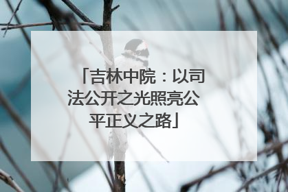 吉林中院：以司法公开之光照亮公平正义之路