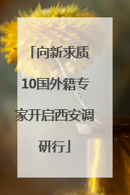 向新求质 10国外籍专家开启西安调研行