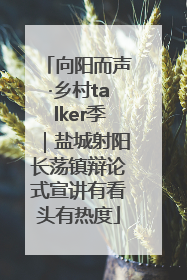 向阳而声·乡村talker季｜盐城射阳长荡镇辩论式宣讲有看头有热度