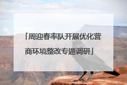 周迎春率队开展优化营商环境整改专题调研