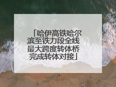 哈伊高铁哈尔滨至铁力段全线最大跨度转体桥完成转体对接