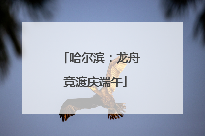 哈尔滨：龙舟竞渡庆端午