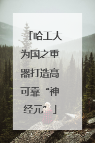 哈工大为国之重器打造高可靠“神经元”