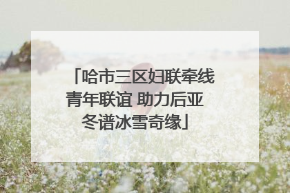 哈市三区妇联牵线青年联谊 助力后亚冬谱冰雪奇缘