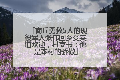 商丘勇救5人的现役军人张伟回乡受夹道欢迎，村支书：他是本村的骄傲
