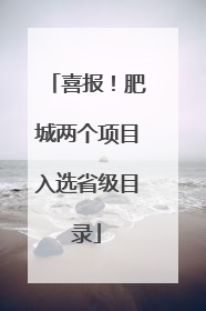 喜报！肥城两个项目入选省级目录
