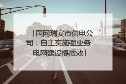 国网瑞安市供电公司：自主实施强业务 电网建设提质效