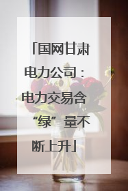 国网甘肃电力公司：电力交易含“绿”量不断上升