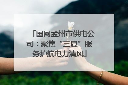 国网孟州市供电公司：聚焦“三夏”服务护航电力清风