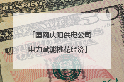 国网庆阳供电公司电力赋能桃花经济
