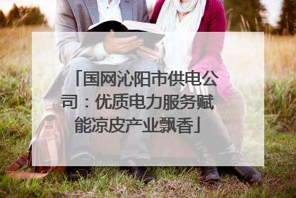 国网沁阳市供电公司：优质电力服务赋能凉皮产业飘香