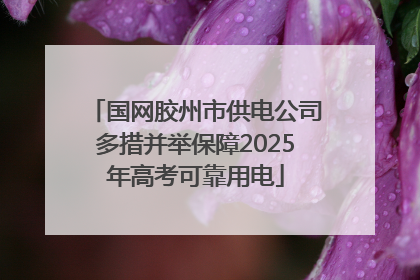 国网胶州市供电公司多措并举保障2025年高考可靠用电