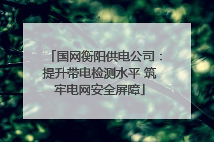 国网衡阳供电公司：提升带电检测水平 筑牢电网安全屏障