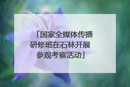 国家全媒体传播研修班在石林开展参观考察活动