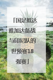国足抵达雅加达备战与印尼队的世预赛18强赛