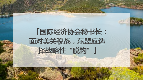 国际经济协会秘书长：面对美关税战，东盟应选择战略性“脱钩”