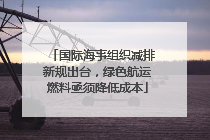 国际海事组织减排新规出台，绿色航运燃料亟须降低成本