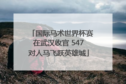 国际马术世界杯赛在武汉收官 547对人马飞跃英雄城