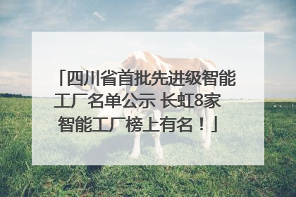 四川省首批先进级智能工厂名单公示 长虹8家智能工厂榜上有名！