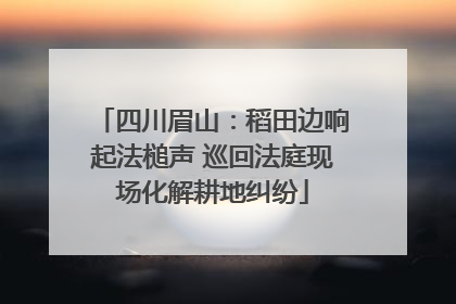 四川眉山：稻田边响起法槌声 巡回法庭现场化解耕地纠纷