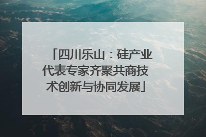 四川乐山：硅产业代表专家齐聚共商技术创新与协同发展