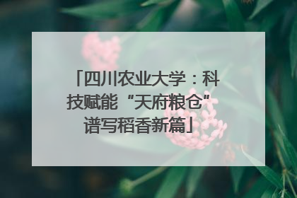 四川农业大学：科技赋能“天府粮仓”谱写稻香新篇