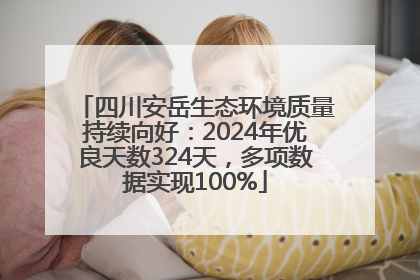 四川安岳生态环境质量持续向好：2024年优良天数324天，多项数据实现100%