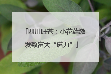 四川旺苍：小花菇激发致富大“蘑力”