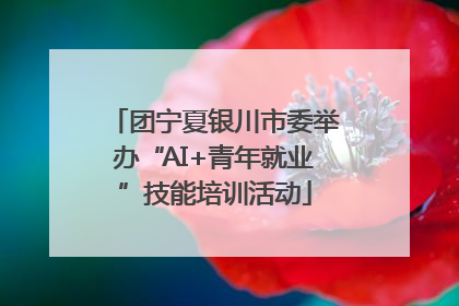 团宁夏银川市委举办“AI+青年就业”技能培训活动