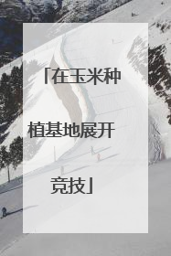 在玉米种植基地展开竞技