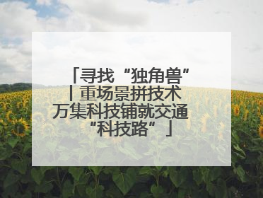 寻找“独角兽”丨重场景拼技术 万集科技铺就交通“科技路”