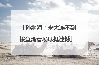 孙继海：来大连不到梭鱼湾看场球挺遗憾
