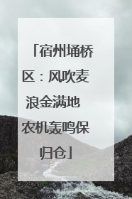 宿州埇桥区：风吹麦浪金满地 农机轰鸣保归仓