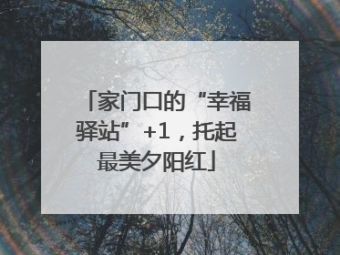 家门口的“幸福驿站”+1，托起最美夕阳红