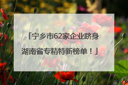 宁乡市62家企业跻身湖南省专精特新榜单！