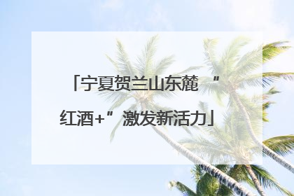 宁夏贺兰山东麓 “红酒+”激发新活力