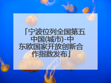 宁波位列全国第五 中国(城市)-中东欧国家开放创新合作指数发布