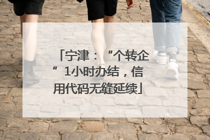 宁津：“个转企”1小时办结，信用代码无缝延续
