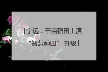 宁远：千亩稻田上演 “智慧种田” 升级