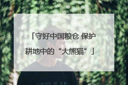 守好中国粮仓 保护耕地中的“大熊猫”