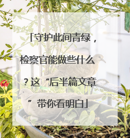 守护此间青绿，检察官能做些什么？这“后半篇文章”带你看明白