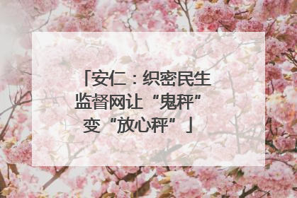 安仁：织密民生监督网让“鬼秤”变“放心秤”